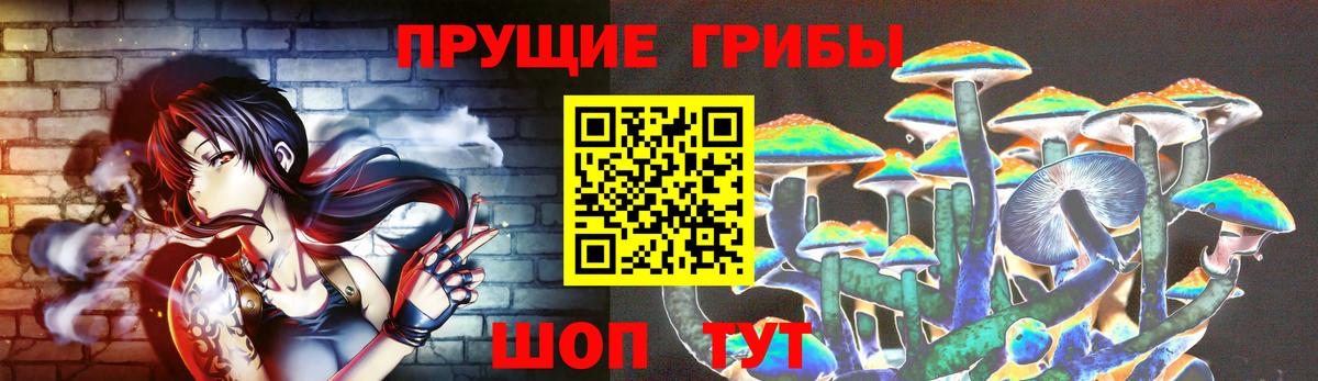 Галлюциногенные грибы прущие грибы Богданович
