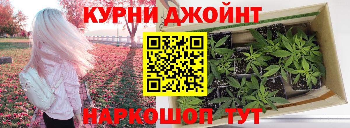 Шишки марихуана план  МАРИХУАНА Bruce Banner  Вход с VPN  Богданович  МАРИХУАНА тримм 